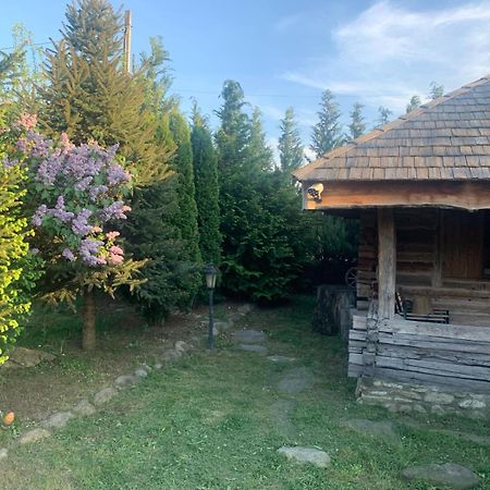 Satul Traditional Runcu  Kültér fotó