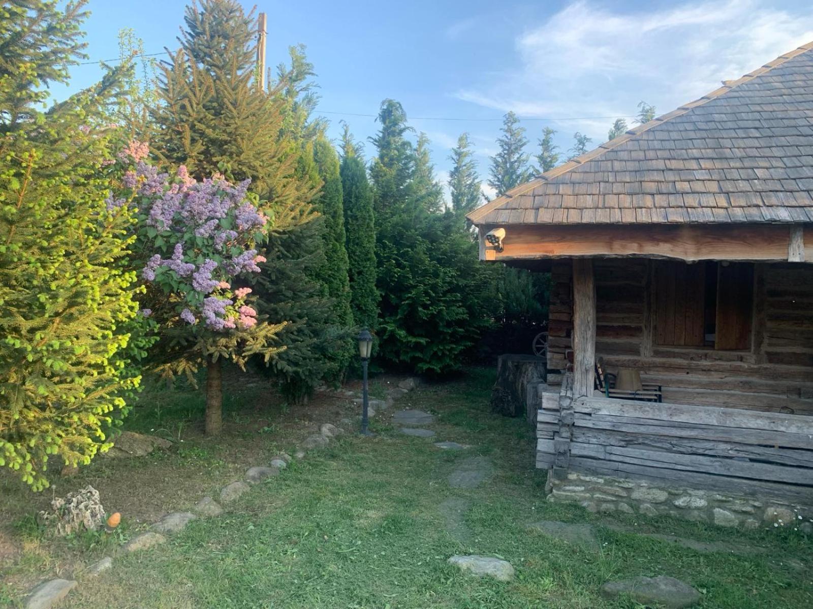 Satul Traditional Runcu  Kültér fotó
